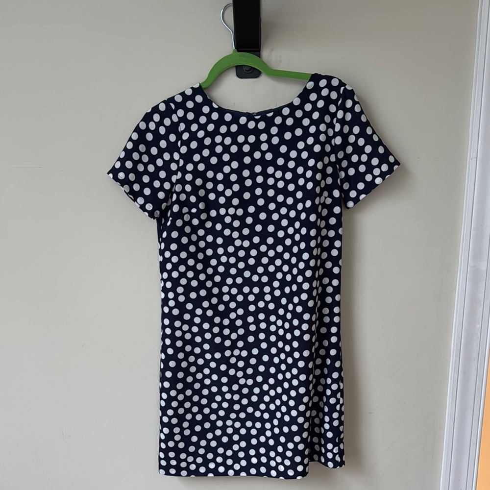 J-Crew Polka Dot Dress